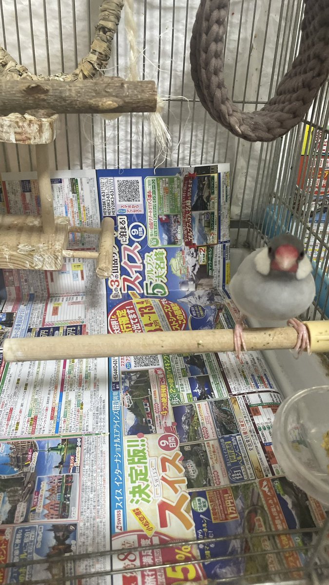 misatomc's tweet photo. 26.6.8
昨日の敷き紙

阪急交通社 https://t.co/ZY6Y3Ur2rv