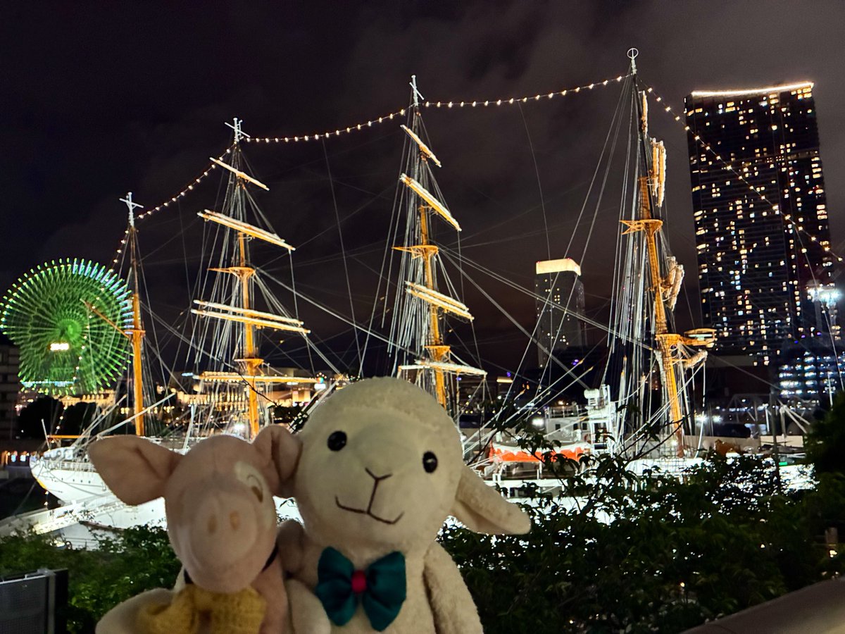 zingi_h's tweet photo. オシャレな街、横浜だよ🐏🐖✨ https://t.co/ZxHHAXaStd