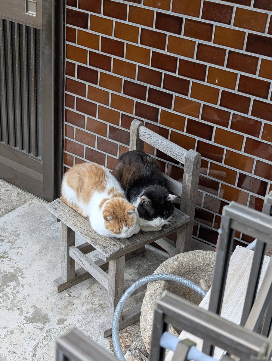 ultimate09398's tweet photo. うぃ〜っすw
おじさんも間に入れてよw https://t.co/sCtWBdX7Fb