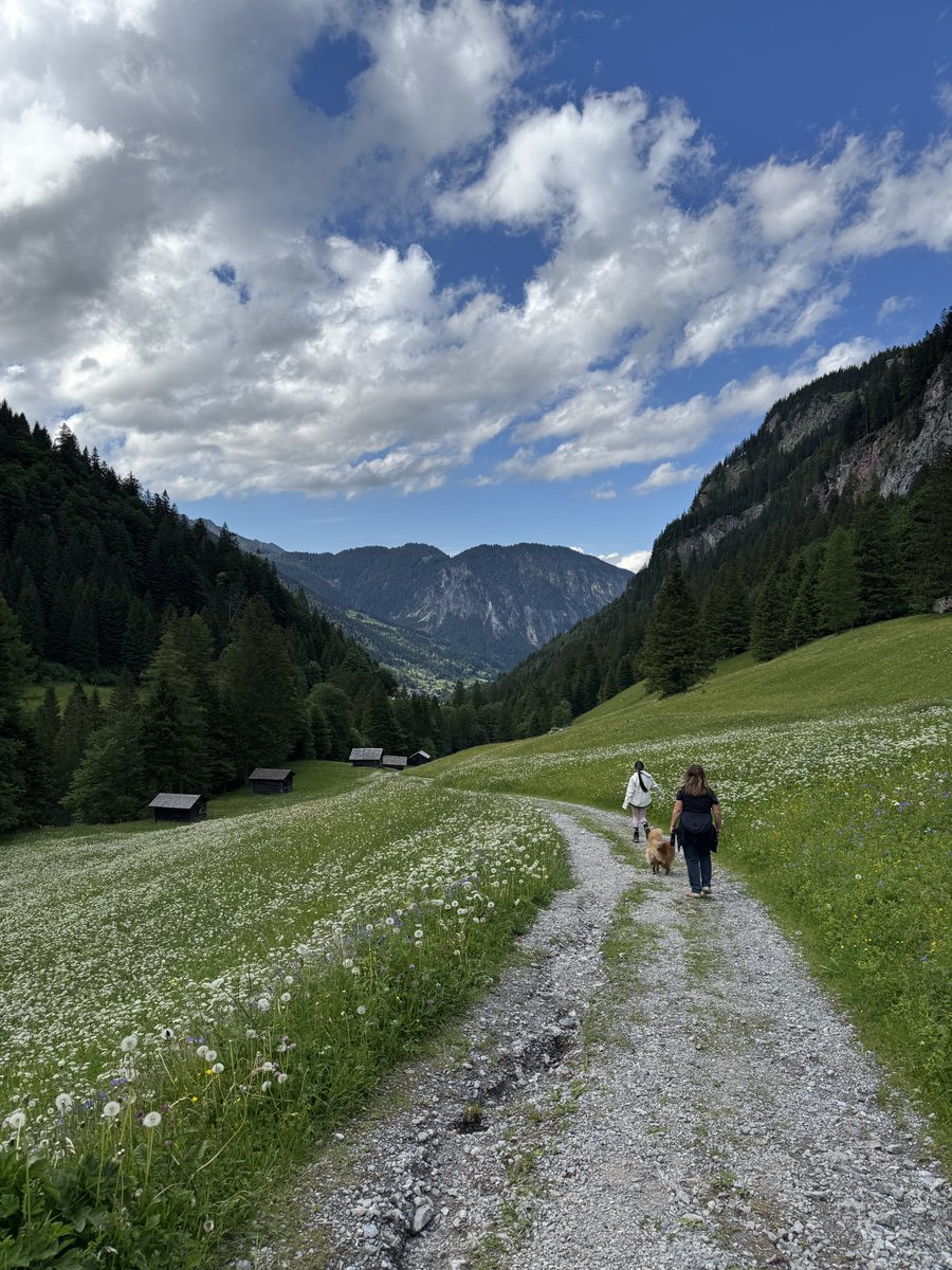 rowiro's tweet photo. Enjoying a few days off 😎 and hiking in the Austrian mountains 🏔️🇦🇹 with my three ladies 👩🏻👱🏼‍♀️🦊. https://t.co/EYpwVYc9OZ