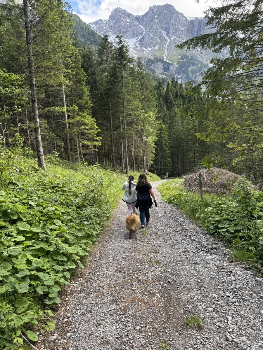 rowiro's tweet photo. Enjoying a few days off 😎 and hiking in the Austrian mountains 🏔️🇦🇹 with my three ladies 👩🏻👱🏼‍♀️🦊. https://t.co/EYpwVYc9OZ