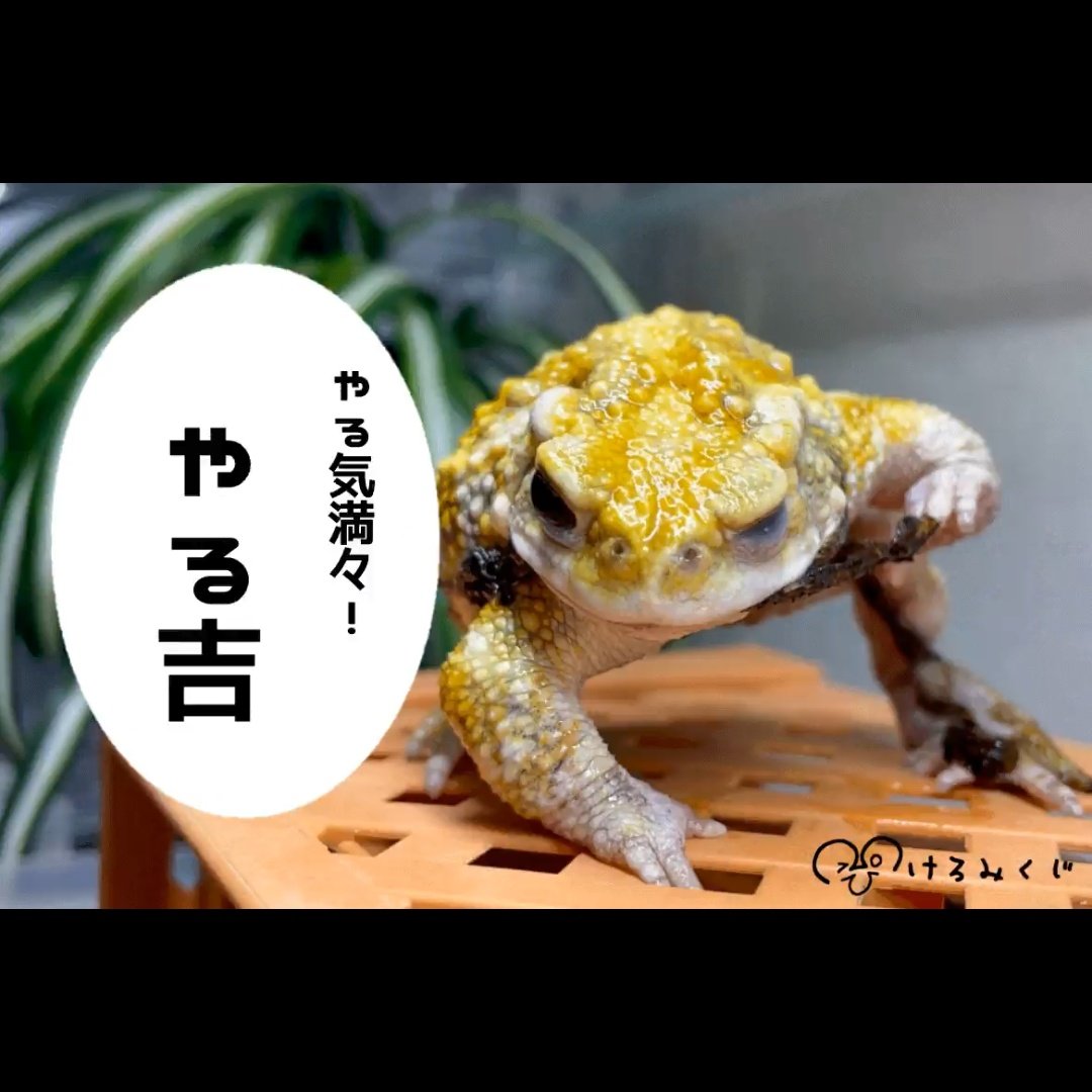 ZansetsuH's tweet photo. 今週はやる気(少し)出していくか https://t.co/we4Jn2IGX3