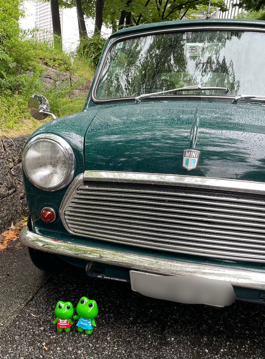mangosyrop_cake's tweet photo. 古い車だから運転・メンテナンス大変だけど、毎日乗れてる旦那さんが羨ましい☺️
#classicmini #クラシックミニ #rovermini #ローバーミニ #ケロちゃんコロちゃん https://t.co/YVOjMLZFMa