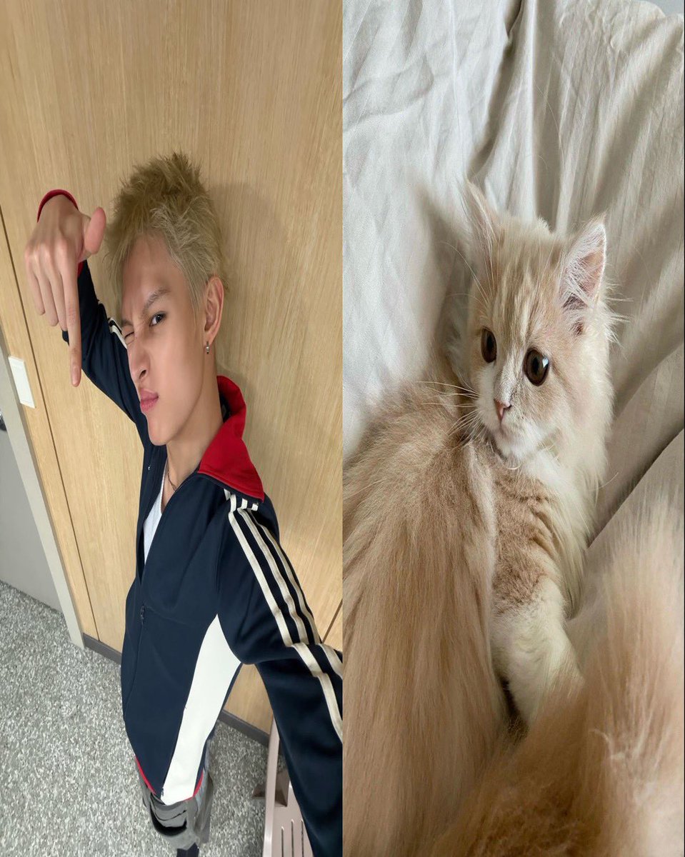 yufaniche's tweet photo. #jjamikitty https://t.co/414cghw6BV