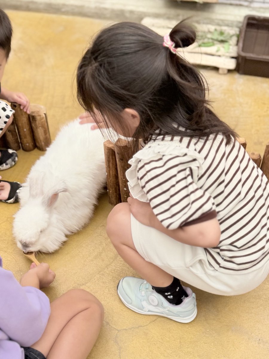 AriiMom's tweet photo. 早起きモーニング→動物園でめっちゃ歩いて疲れたし雨降ってきて頭痛🫠
夕方はスイミングだからちょい寝る😂😂 https://t.co/njSG7C1Nty