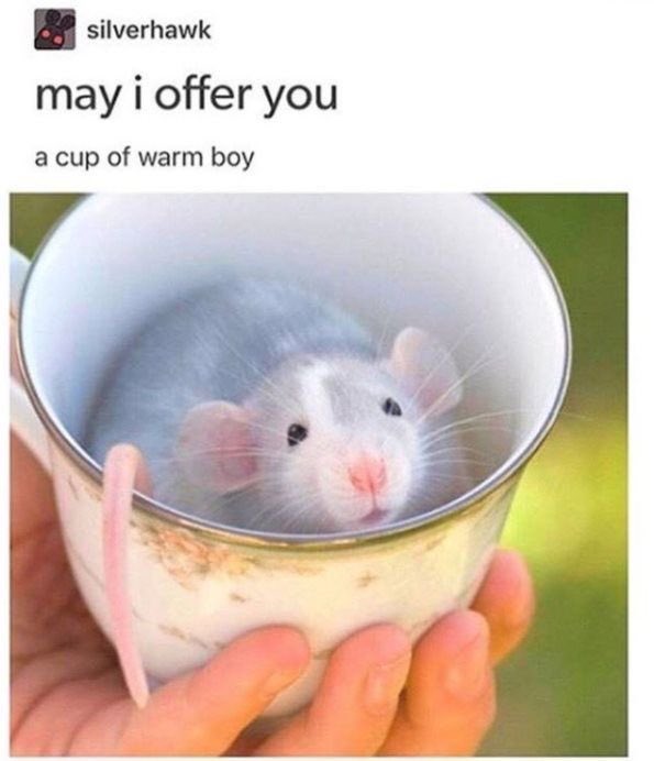 ichewthings's tweet photo. will you accept this cup of warm boy? https://t.co/6STLICM7oz