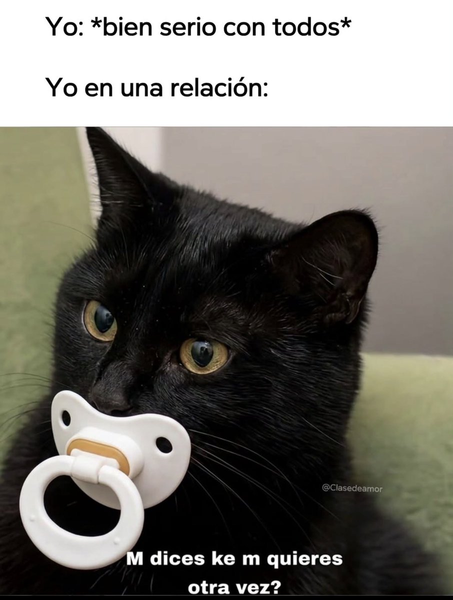 Mundo de Bigotes tweet media