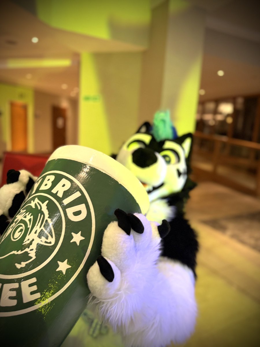 GoodboiFrosty's tweet photo. He has a meeting at 9:00am and is on 3 hours of sleep🥀

#Furry 📸@GarinRex https://t.co/KLkJ2bBXVV