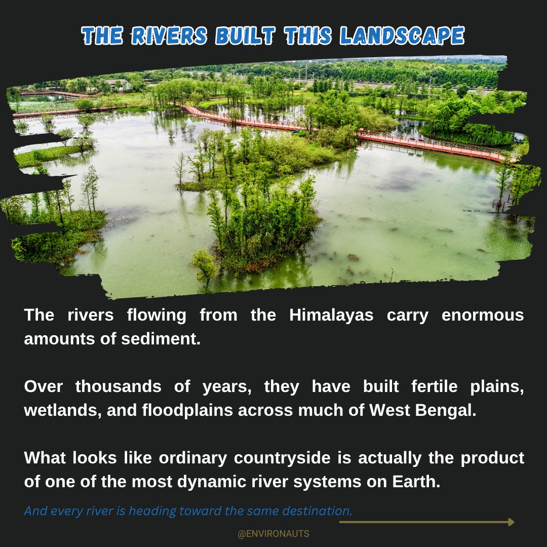 coralsanimation's tweet photo. This diversity is more than a geographical curiosity. These ecosystems support thousands of species, regulate water systems, store carbon, protect coastlines, and sustain millions of people.

West Bengal reminds us that nature does not exist in isolated pieces. Mountains, rivers, wetlands, forests, and coastlines are all connected.

Swipe through and explore one of India's most fascinating ecological journeys.

📍 Which ecosystem surprised you the most?

#WestBengal #Sundarbans #Darjeeling #Dooars #Biodiversity #IndianWildlife #NatureEducation #Conservation #Environment #Ecology #WildlifeIndia #NatureLovers #IncredibleIndia
