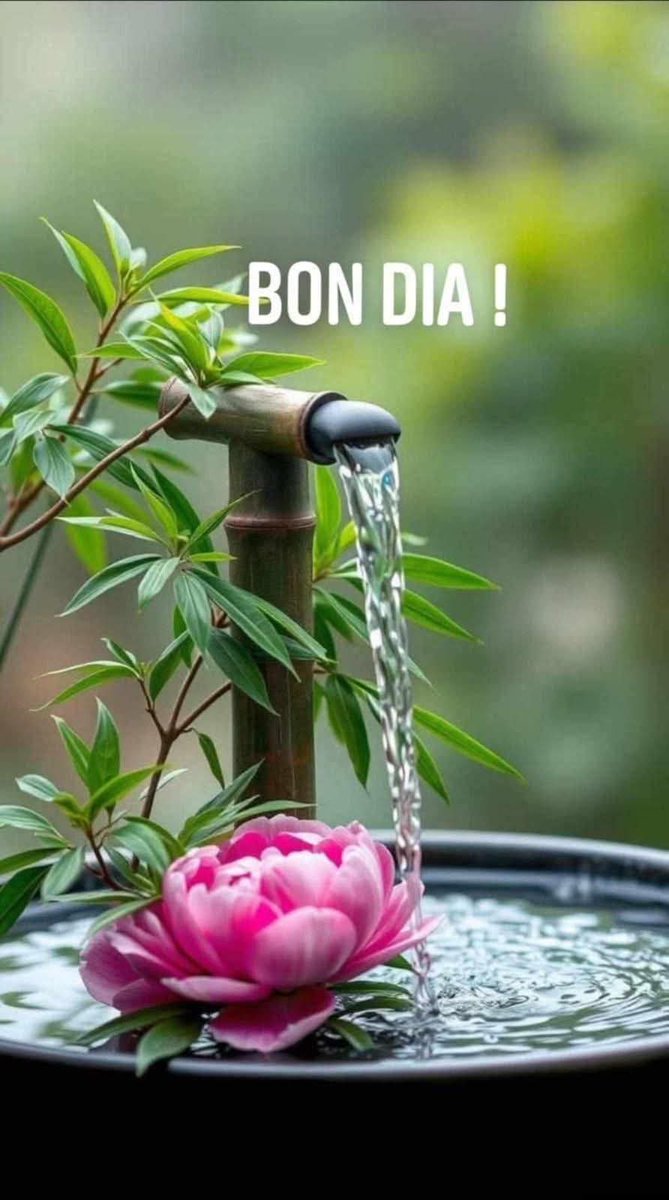 FerrerKika's tweet photo. @CarmenSS196 Guapísima buenos días 😘🥰❤️ https://t.co/l0oMBSPq3z