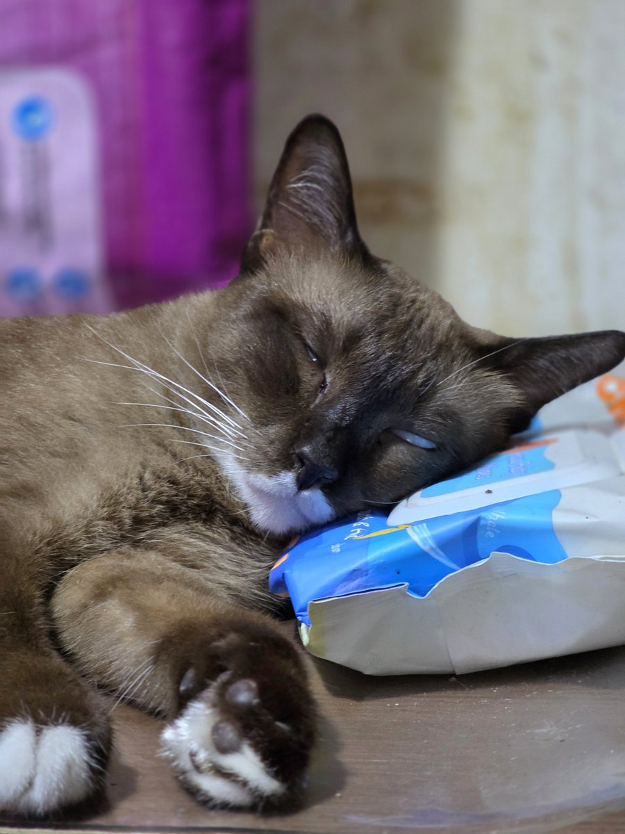thmeow's tweet photo. แกเป็นใคร! ออกจากร่างลูกสาวฉันเดี๋ยวนี้นะ!
#โนอึล https://t.co/GEBWxLdlj9