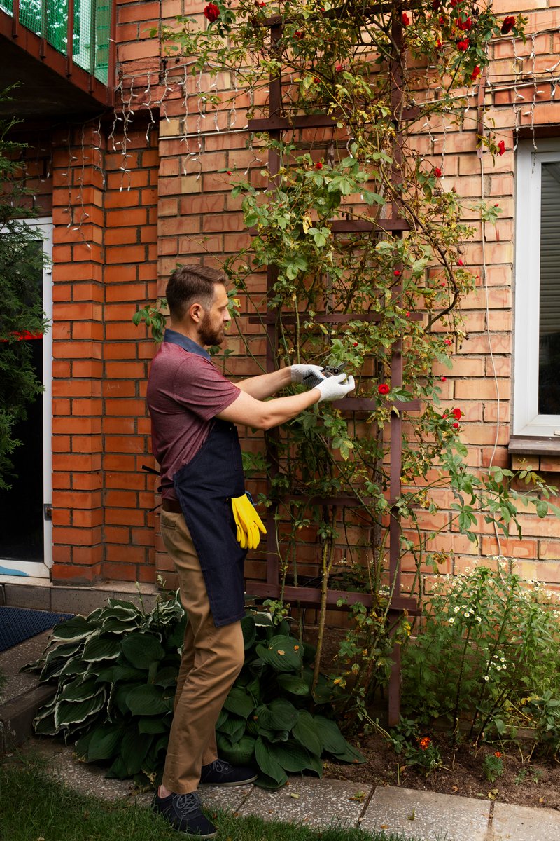 gibbstree's tweet photo. Gibbs Street Services is a renowned tree care services provider. They have expert professionals who are experienced and trained in offering reliable residential tree trimming. Make your yard healthy and safe. https://t.co/IcX5oXoHlg
#treehealth #gibbs #naturelove #residentialcare https://t.co/iY5GYd0263