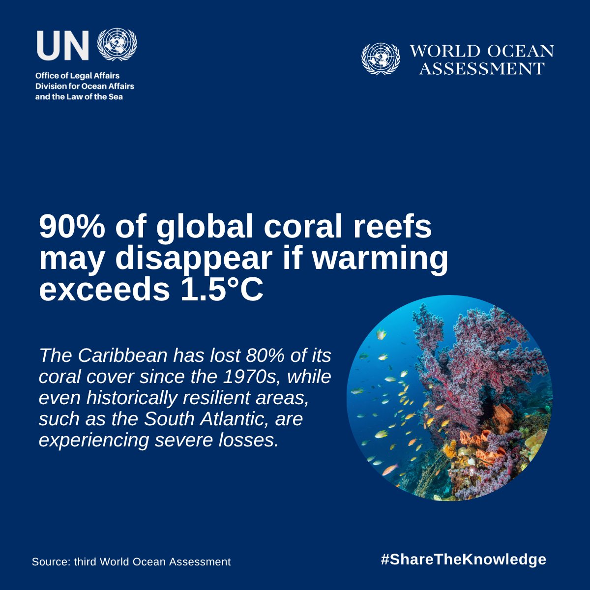 UNDRR's tweet photo. 🪸Coral reef ecosystems – the most effective coastal defences on the planet – are under attack. 

🌊 We must protect our oceans and their fragile ecosystems – so they can protect us from disasters. 

#ShareTheKnowledge #WOAIII #NatureBasedSolutions #unworldoceansday https://t.co/8ruVR05PF7