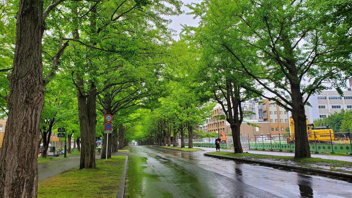 challenge85's tweet photo. 北海道大学、クラーク、、、えっ違うやん笑
#北海道大学
#北海道旅行 https://t.co/uoZ1YzXqcS