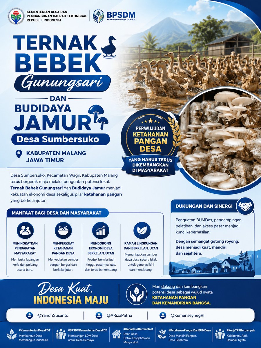 triasfm89's tweet photo. TERNAK BEBEK Gunungsari dan Budidaya Jamur Desa Sumbersuko Kabupaten Malang Jawa Timur Perwujudan Ketahanan Pangan Desa.

@YandriSusanto
@ARizaPatria
@KemenseynegRI

#KementerianDesaPDT
#BPSDMKementerianDesaPDT
#DanaDesaBermanfaat
#KetahananPanganDanBUMDesa
#KerjaTPPBerdampak https://t.co/nXJQzfkVAc