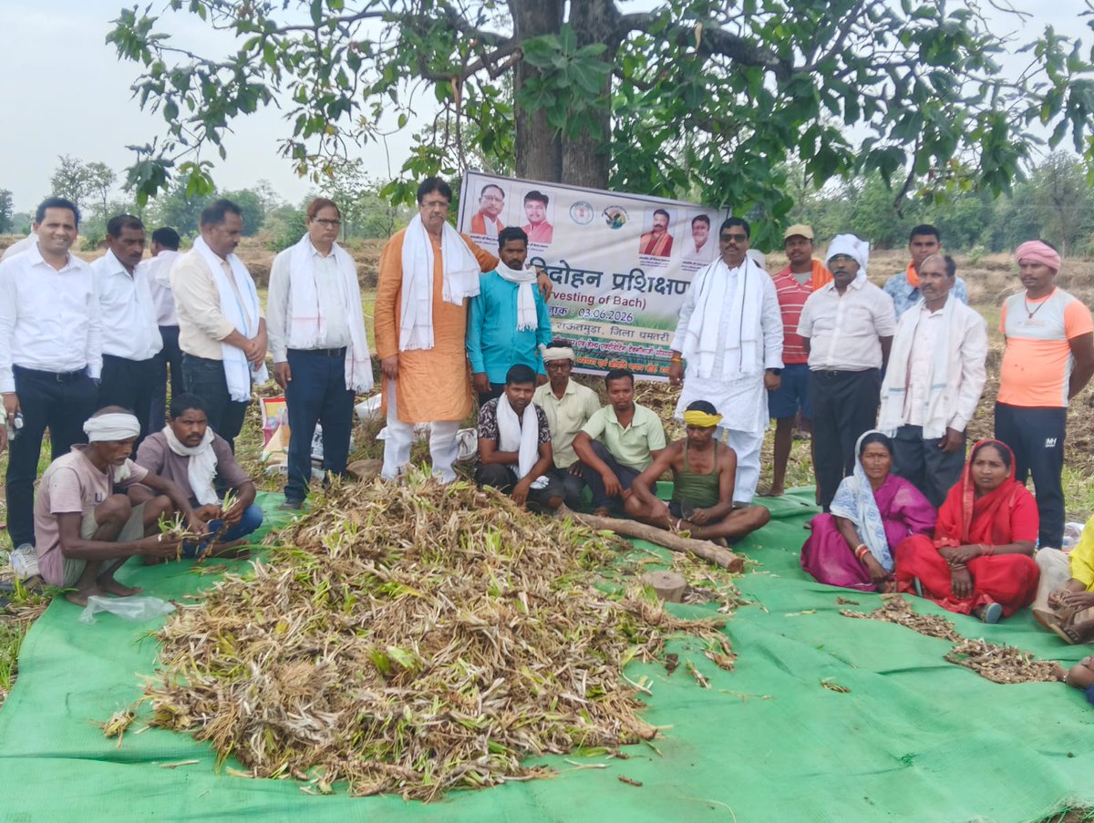 ForestCgGov's tweet photo. छत्तीसगढ आदिवासी, स्थानीय स्वास्थ्य परंपरा एवं औषधि पादप बोर्ड (छत्तीसगढ़ शासन, वन विभाग)  
द्वारा सजीव वच विदोहन प्रशिक्षण धमतरी ग्राम राउतमुड़ा में आयोजित किया गया.....* 

🌾 सजीव वच विदोहन प्रशिक्षण में धमतरी और आदिवासी अंचल नारायणपुर (अबूझमाड़) के ग्रामीण क्षेत्रों से किसानो आमत्रित किया गया । 
🌾 कार्यक्रम में बोर्ड के अध्यक्ष श्री विकास मरकाम ने किसानो से चर्चा करते हुए किसान से कहा  कि वे औषधि पौधों की खेती कर बोर्ड के माध्यम से शासन की योजनाओ का लाभ लेकर समृधि की राह चुने ।  
🌾 इस मौके पर बोर्ड के उपाध्यक्ष श्री अंजय शुक्ला ने किसानो से कहा की बोर्ड औषधि पौधों की खेती के लिए किसानो की हर संभव मदद करेगा । 
🌾 बोर्ड के मुख्य कार्यपालन अधिकारी श्री जे.ए.सी.एस.राव ने बताया की बोर्ड पैडी डायवर्सन मॉडल अंतर्गत किसानों को धान की पारंपरिक खेती में हो रहे नुकसान को लाभ में बदलने के लिए ‘वच’ की खेती एक  उत्तम विकल्प है जिसमे कुल लागत मात्र 20,000 रुपये तक आती है, और 1 साल में किसानों को एक एकड़ से लगभग एक लाख रुपये की शुद्ध आय प्राप्त हो सकती है  ।
🌾 वच के खेत में सजीव वच विदोहन प्रशिक्षण मे वच की जड़ को खेतों से हार्वेस्ट करने के लिए ट्रेक्टर के माध्यम से आडी-तिरछी जुताई की गई, जिससे समस्त वच की जडे मिटटी से बाहर आ गई, बाहर निकली हुई जड़ो से मिटटी को अच्छी तरह झाड़कर छायादार स्थान पर एकत्र किया गया, तत्पश्चात तेज धार वाले गड़ासे से मुख्य जड़ से लगी हुई अतिरिक्त जड़ो को अलग कर दिया गया, और इसके पश्चात् मुख्य जड़ को 2 से 3 इंच के छोटे छोटे टुकडो में काटकर एकत्रित कर दिया गया इन जड़ो को तेज धूप में अच्छी तरह सुखाने  के पश्चात् बिक्री हेतु बोरो भरकर भेजा जाएगा ।
🌾 कार्यक्रम में बोर्ड के अध्यक्ष श्री विकास मरकाम, उपाध्यक्ष श्री अंजय शुक्ला, मुख्य कार्यपालन अधिकारी श्री जे.ए.सी.एस.राव, श्री डी.के. एस.चौहान (सलाहकार- औषधि  पौधों की खेती), श्री फकीरराम कोसरिया (सलाहकार – धमतरी) उपस्थित रहे । 🌾 कार्यक्रम में धमतरी के ग्राम राउतमुड़ा और आस पास के ग्रामो तथा नारायणपुर (अबूझमाड़) के ग्राम  कोहाकमेटा, किल्काड से लगभग 50 किसानो द्वारा भागीदारी की गई ।
🌾 कार्यक्रम के उपरांत बोर्ड के अध्यक्ष श्री विकास मरकाम, उपाध्यक्ष श्री अंजय शुक्ला ने धमतरी के ग्राम पोतियाडीह में माँ गायत्री स्व सहायता समूह द्वारा 2 एकड़ की जा रही खस की  खेती का भी निरीक्षण किया । चर्चा के दौरान समूह की महिलाओ ने बताया की आने वाले सप्ताह में खस की जड़ो का हार्वेस्टिंग किया जाएगा जिससे उन्हें लगभग एक लाख रुपये की आमदनी होगी ।