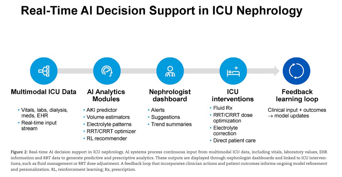CKJsocial's tweet photo. Transforming nephrology through artificial intelligence: 

a state-of-the-art roadmap for clinical integration

https://t.co/S1ONWkMHVV https://t.co/MOTr4bXyfO