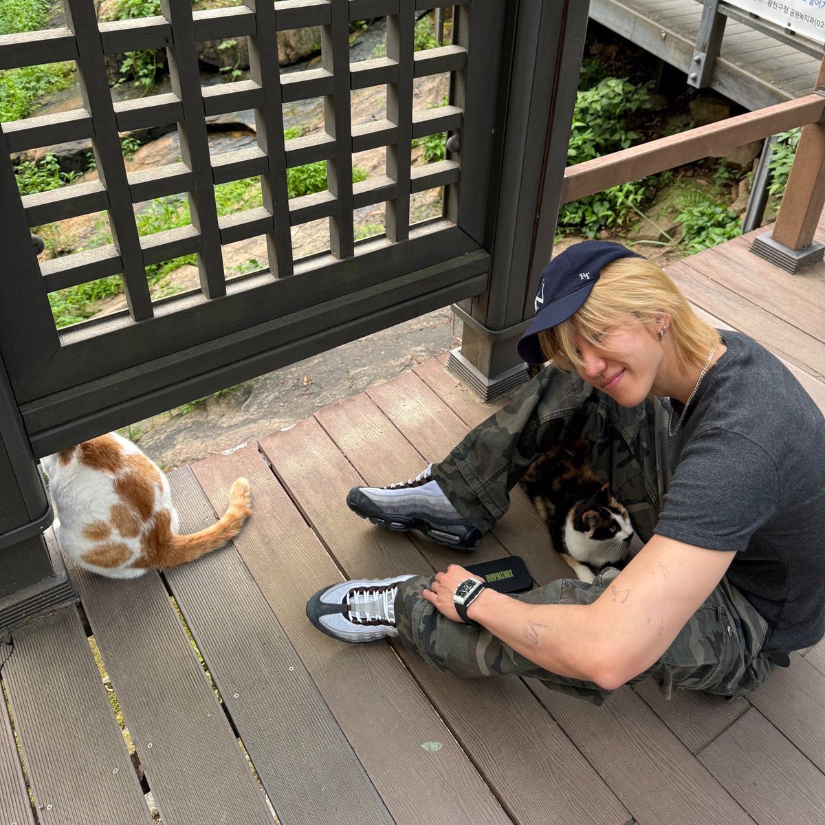 evansorbit's tweet photo. i love that he’s such a cat lover 😭😭 https://t.co/M8cRzk4MG3