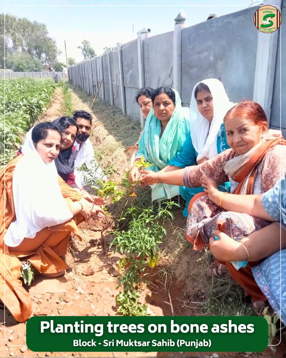 GreenSwelfares's tweet photo. यादों को हरियाली में बदलना सबसे सुंदर श्रद्धांजलि है।🌱

अपने प्रियजन की स्मृति को चिरस्थायी बनाने के लिए, श्री मुक्तसर साहिब के एक परिवार ने अस्थियों पर पौधा लगाकर उन्हें हरित श्रद्धांजलि अर्पित की। संत डॉ. संत डॉ. गुरमीत राम रहीम सिंह जी इन्सां की प्रेरणा से किया गया यह नेक कार्य न केवल अपने प्रियजन की यादों को जीवित रखेगा, बल्कि प्रकृति को भी जीवन का अनमोल उपहार देगा।

#GreenTribute #TreeOnAshes #InLovingMemory #SriMuktsarSahib #PlantForFuture