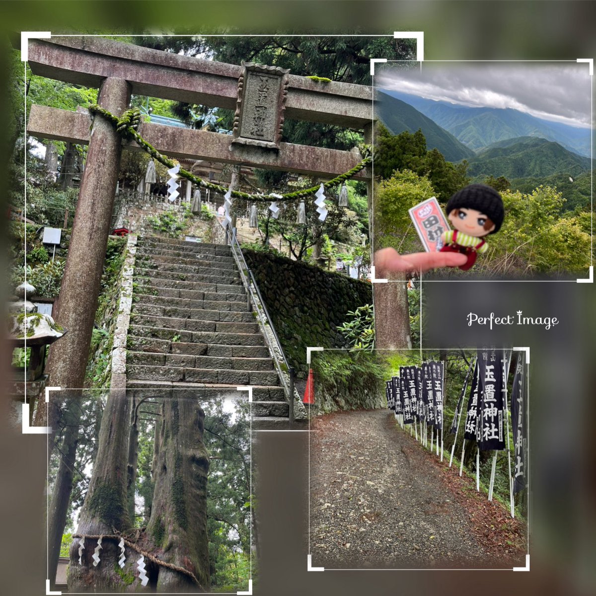 2515Ns's tweet photo. 今日は長女と世界遺産の神社⛩️に行って来ました✨
山頂にあるこの神社
片道3時間
道無き道を延々と登りお参りして来たよ✨ https://t.co/i5xaKHxyL7