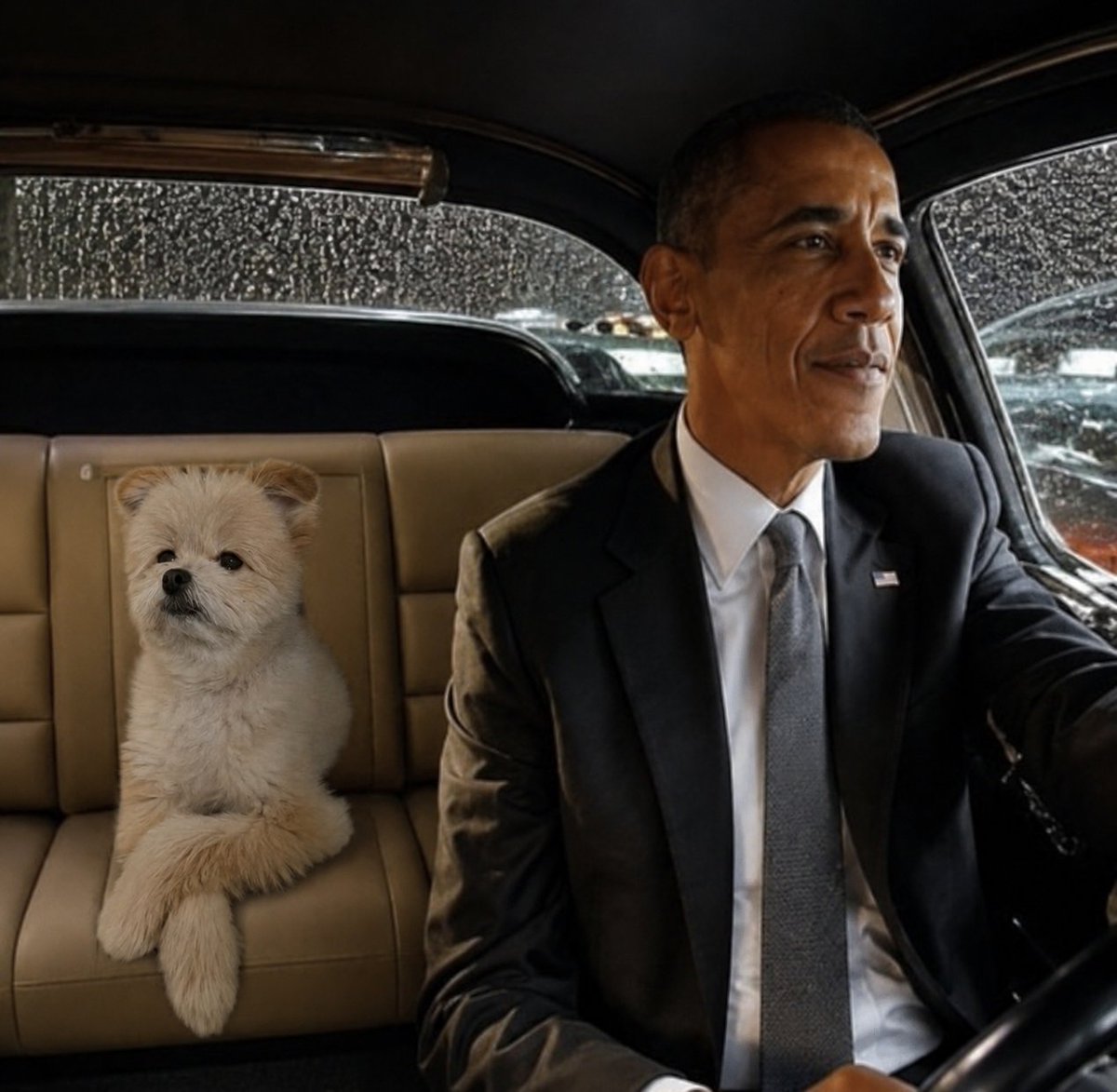 deepsydoing's tweet photo. . @BarackObama you looks chill https://t.co/9rPK50VgJl