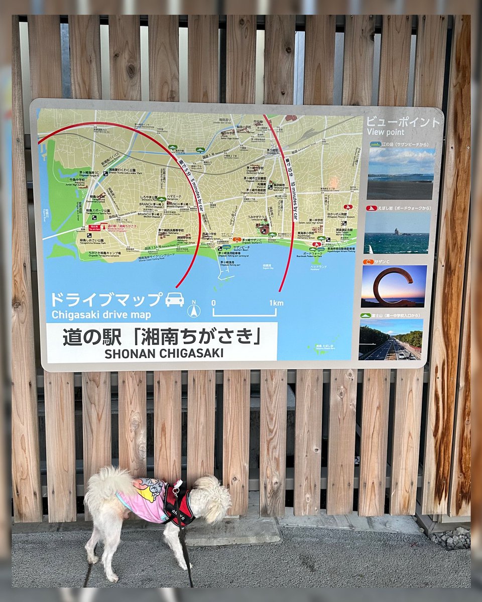 ai074's tweet photo. 昨日は、道の駅｢湘南ちがさき｣に
湘南・茅ヶ崎発祥の調味料「オレの胡椒｣を買いに行ってきました🍊🍋
すぐに売り切れてしまうそうなので
開店10分前から並んだら
無事に買えました🥰💕
ドックランもあって
ワンコ連れでも楽しめる道の駅でした🐶💕 https://t.co/8exB1cXDU5