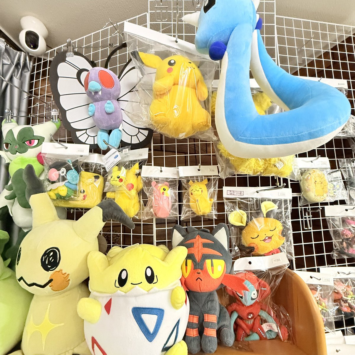 ⚡ポケモンぬいぐるみ大量入荷⚡ 新たにポケモンコーナーを展開中