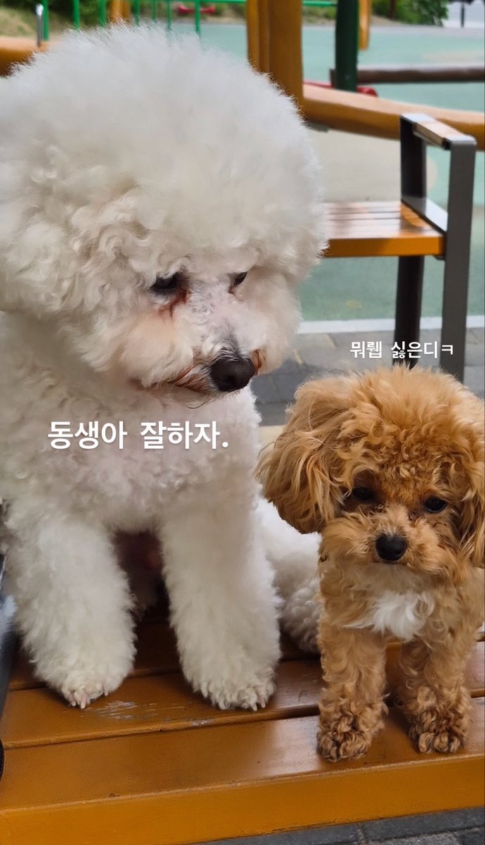 happimn's tweet photo. 렌디로이 생각보다 더 차이난다 헉스바리~ https://t.co/5dB6IjKImY