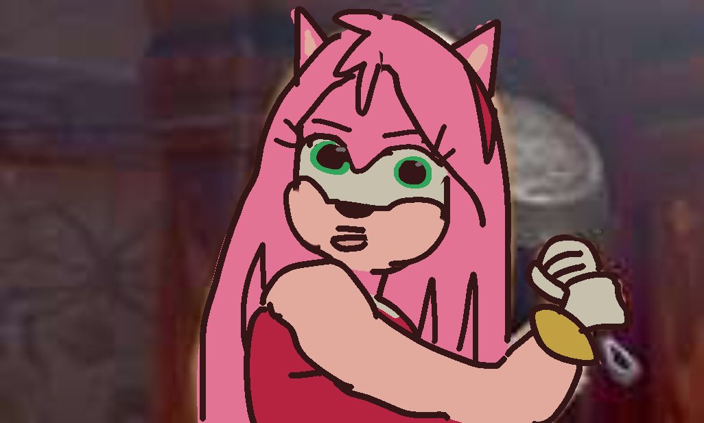 mary_zos's tweet photo. extraño td 😭 #sonicexethedisaster #amy https://t.co/6k2ZnLJo9Q