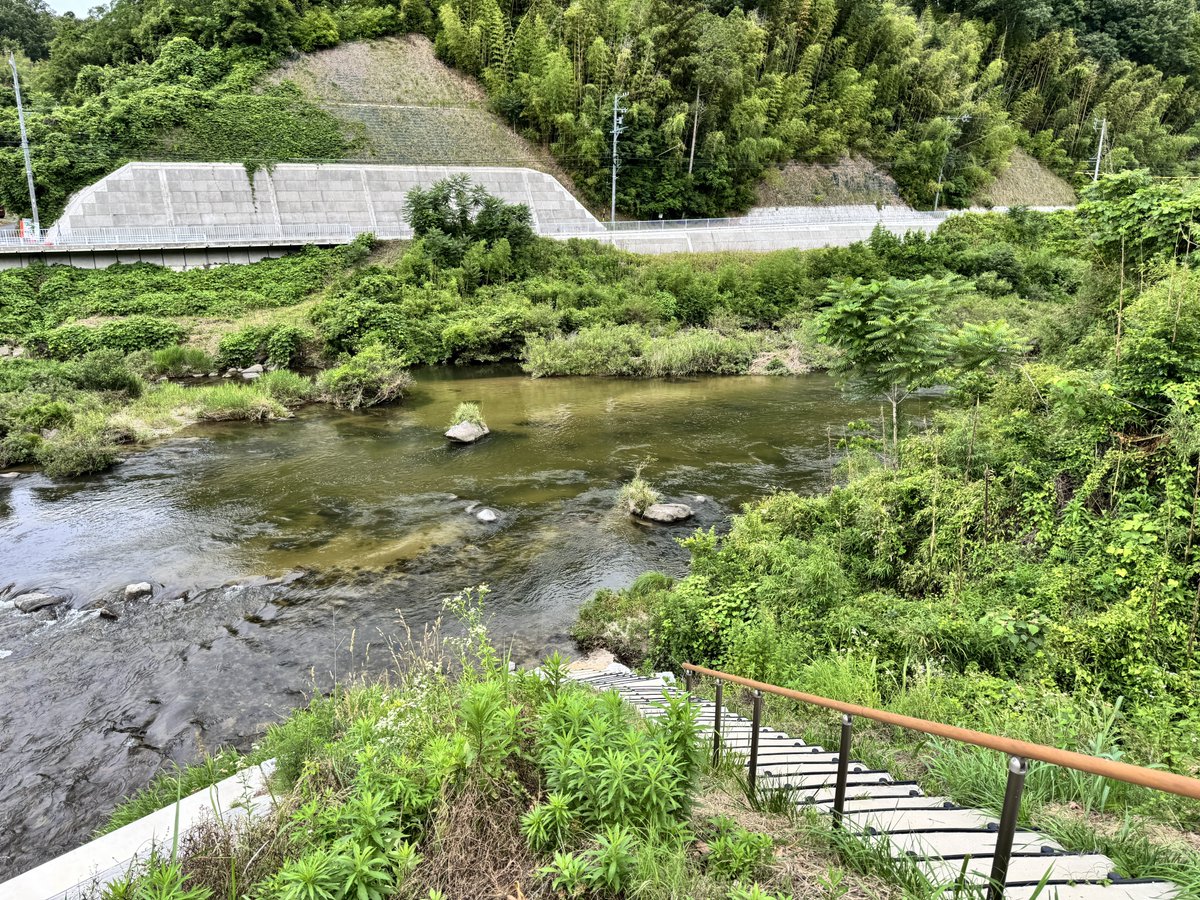 ctskimura's tweet photo. 今日は釣りをしなかったけど、年券だけ買ってきた。
見るからに釣れそうですけど、今は小さいのが10くらいが限界らしいです。
夏過ぎがいいのかなー
#釣り #鮎釣り #巴川 https://t.co/2GP2qQWM7a