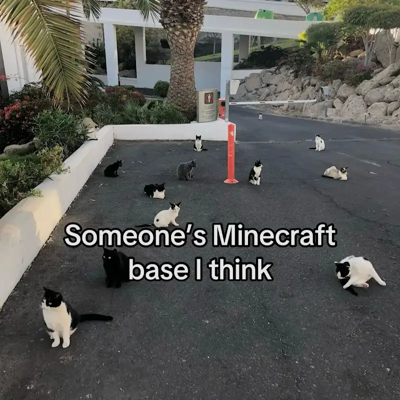 sillywhimsymeme's tweet photo. my dream https://t.co/Dy39OvL3Zp