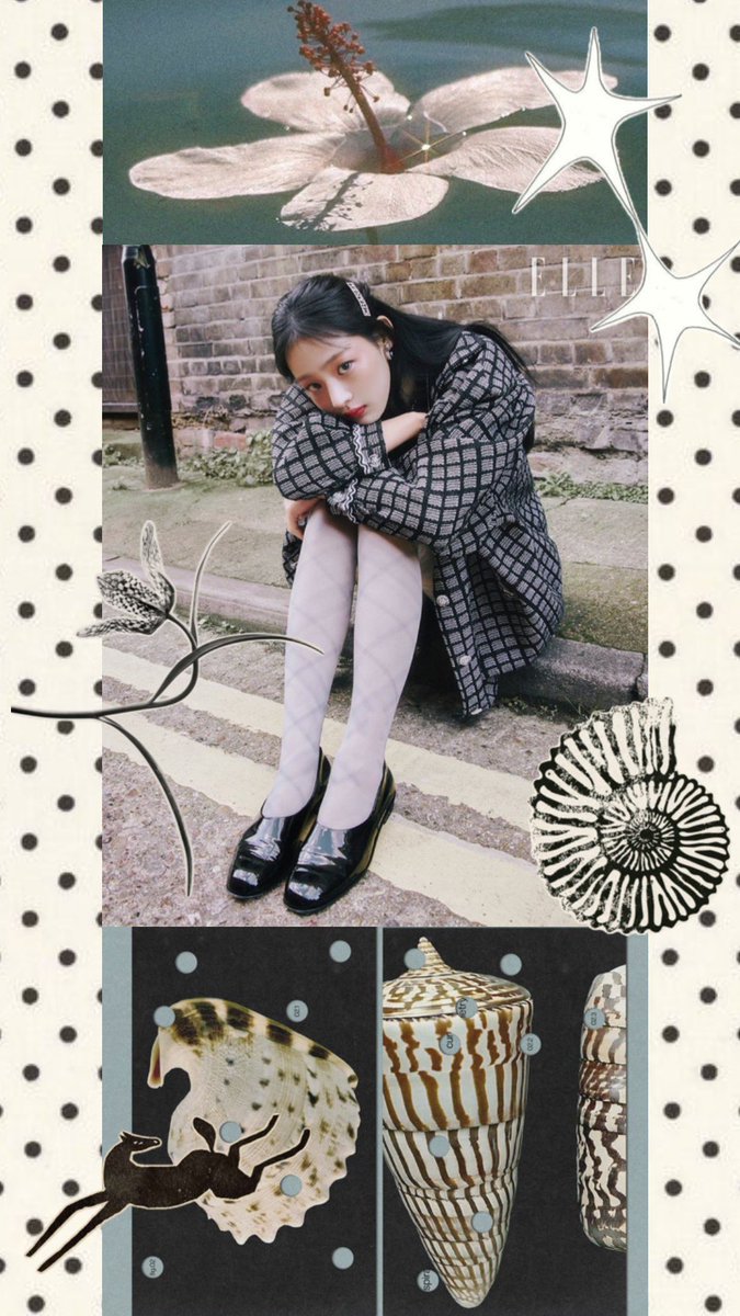 jenhappygolucky's tweet photo. 김민지🤍팜하니🩶모다니🖤 https://t.co/1zLfqbJMEW
