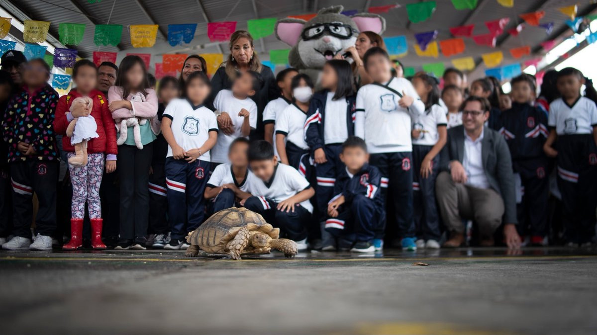 ACMor_Morelos's tweet photo. 🌎✨Más de 400 niñas y niños participaron en la miniferia #CienciaPorLaTierra, organizada por el CCyTEM y el CeMoCC en el marco del Día Mundial del Medio Ambiente.

Nuestro presidente, el Dr. Adán Guerrero, se sumó a esta jornada de ciencia, aprendizaje y cuidado del planeta. https://t.co/cUKNl2AgRu