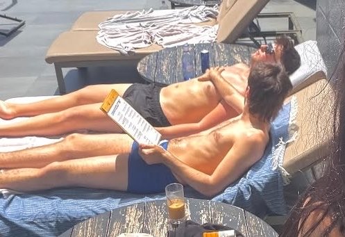 mlssxsea's tweet photo. they’re living their best life https://t.co/an0zjqEaNT