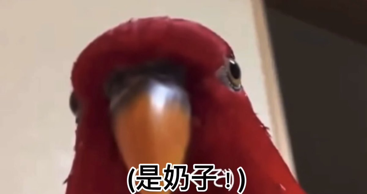 MuMuya1104's tweet photo. @Evaeva0127 我要在這 很靠ㄅ的‼️ 放這張圖🤣 https://t.co/osYk73UePv