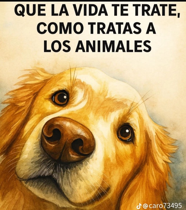 AbrilPlaneta's tweet photo. @LetyVarela @GobiernoEdoChih @azelarobinson @lorena_becerra @rbksokol @NoticiasCUU https://t.co/F3BWlTFrtY