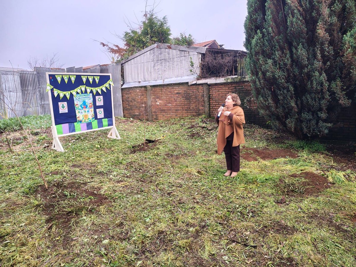 schmidt_esc's tweet photo. En el marco de la conmemoración del Día Mundial del Medio Ambiente (5 de junio), se realizó la plantación de 5 árboles frutales donados por la Sra. Cecilia Paredes Ibañez y la docente Mónica Lusher, una actividad muy importante enmarcada en el sello ambiental de nuestra escuela. https://t.co/vQvdALFwFI
