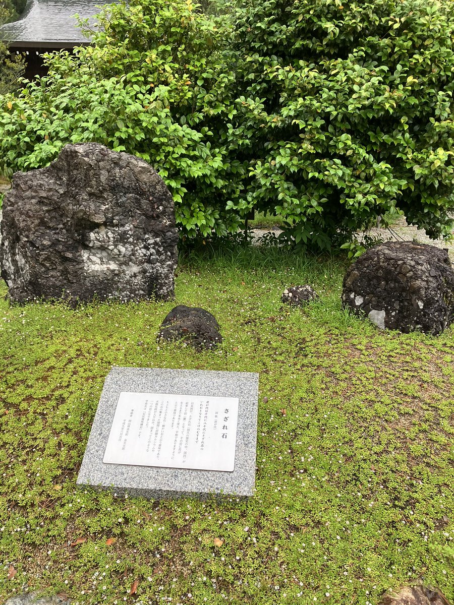 Uranai's tweet photo. さざれ石が巌となりて苔むしていた。 https://t.co/5JpoqaDNdj