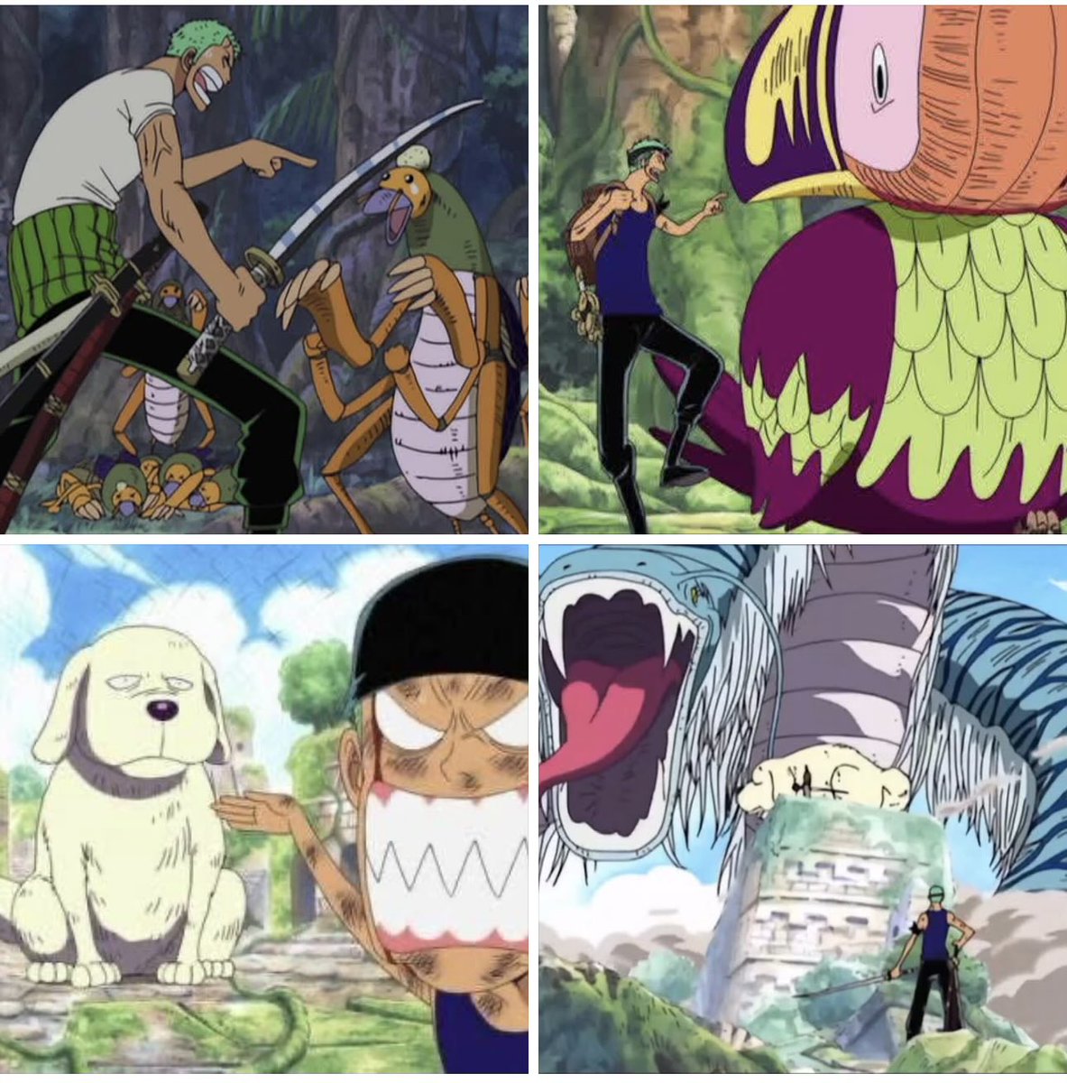 Muzz_Rage's tweet photo. Zoro was out there beefing random animals.. dude is lost 😭 https://t.co/kszEyBvDmU