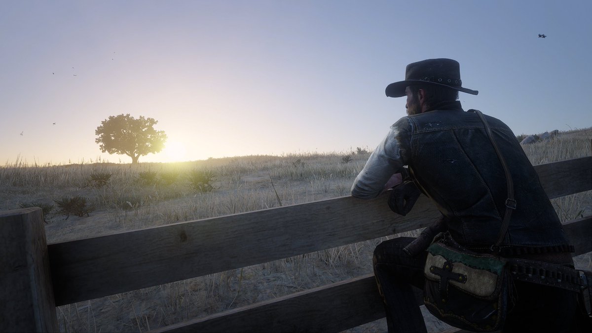 Einfach_Annie's tweet photo. Red Dead Redemption 2  
-------------------------- https://t.co/0CChgmXyxa
