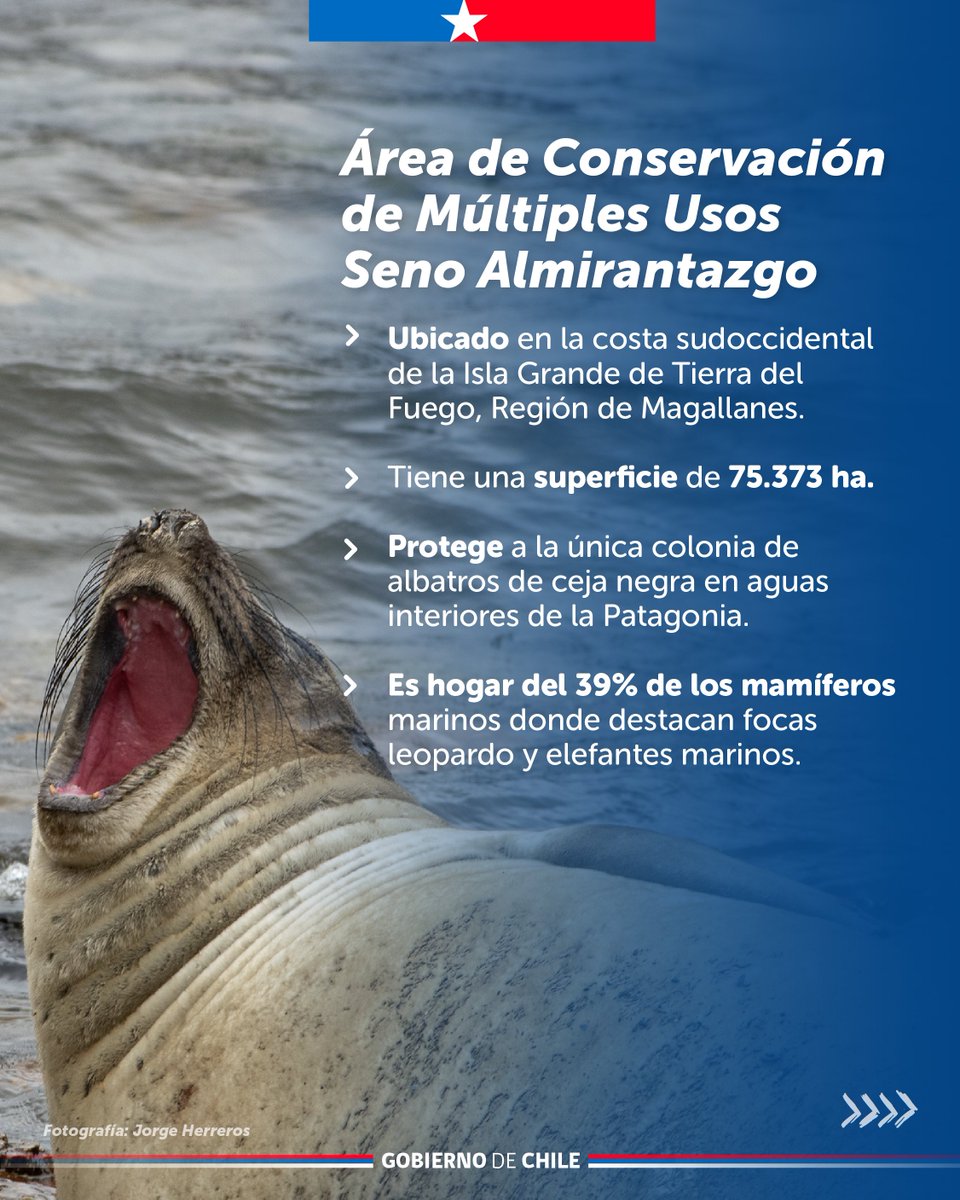 MMAChile's tweet photo. ¡Hoy Día Mundial de los Océanos te invitamos a conocer alguna de ellas! https://t.co/aJeI5Zn5e9