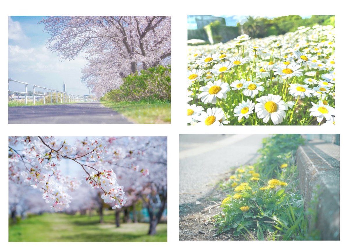 aosora063's tweet photo. ロケメインで📸練習中
🚺、関東圏内、平日>日曜、個撮か2人くらいまで🥹
作例少ないので撮影練習付き合ってくれる方🙏🏻
（知ってる作品ならなんでもですが、忍たまだと飛んで喜ぶ）
#レイヤーさんと繋がりたい
#忍たまレイヤーさんと繋がりたい https://t.co/An8VBHMlRb