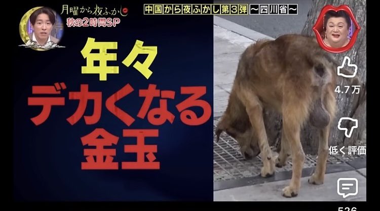 MaOlbb's tweet photo. こういうのでお腹抱えて笑うタイプです。まじ一生思春期。

https://t.co/KJEFQBVr2j https://t.co/Ln2cv90asw