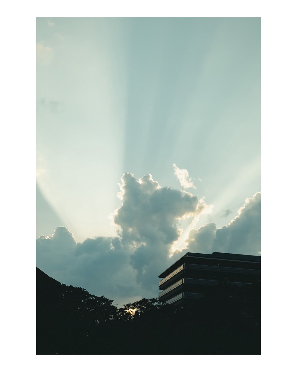 sol0pst's tweet photo. 空を縫う https://t.co/vr2sqekOm4
