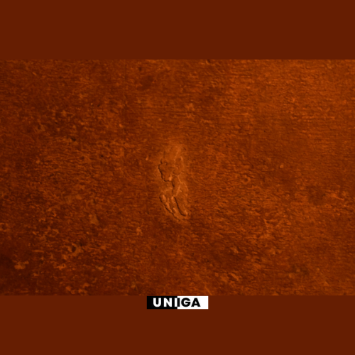 UNIGA8888's tweet photo. sȝḥ

🔺👁🔻

NB: ALL RIGHTS BELONG TO UNIGA (@uniga8888). THE USE OF IMAGES, VIDEO, AND AUDIO WITHOUT PERMISSION IS PROHIBITED.

*WHAT YOU SEE IS NOT CREATED IN ANYWAY, DRAWN, SKETCHED, PAINTED, OR EDITED.*

#love #ancient #A #uniga8888 #pictograph #hieroglyphs #kemet #sȝḥ https://t.co/NITC9TsVe7