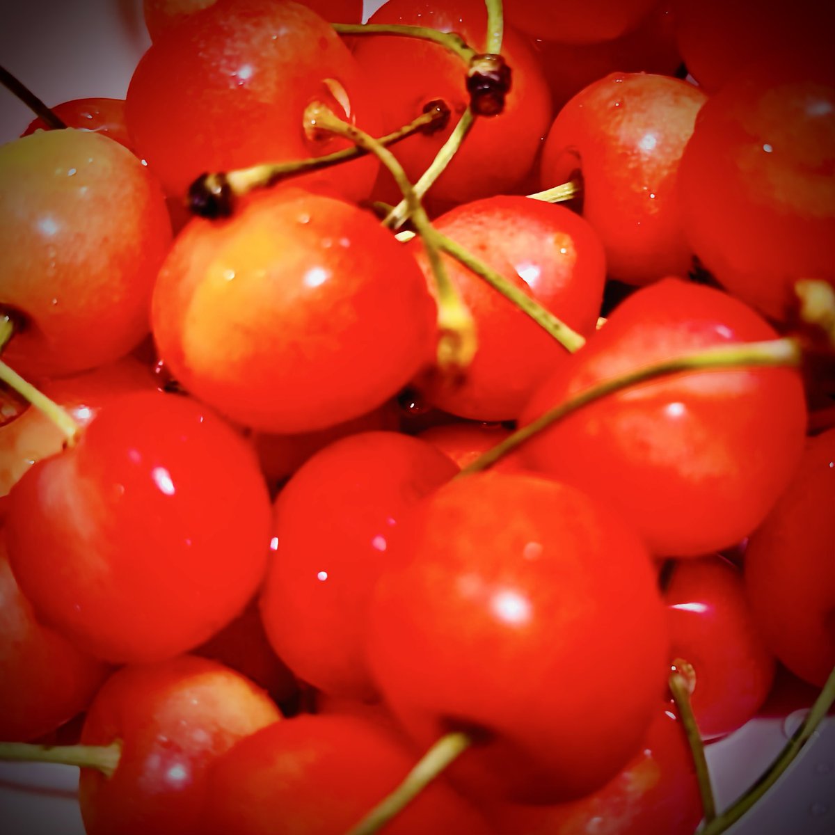 minachama's tweet photo. さくらんぼ🍒 https://t.co/HkGPEGhlFt