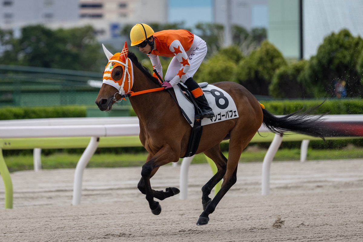 umatonekoship's tweet photo. 2026.6.8
大井競馬場 2R
マンゴーパフェ 
アスクピーターパン産駒
小野寺厩舎
菅原涼太騎手 https://t.co/FetvMqFYKm