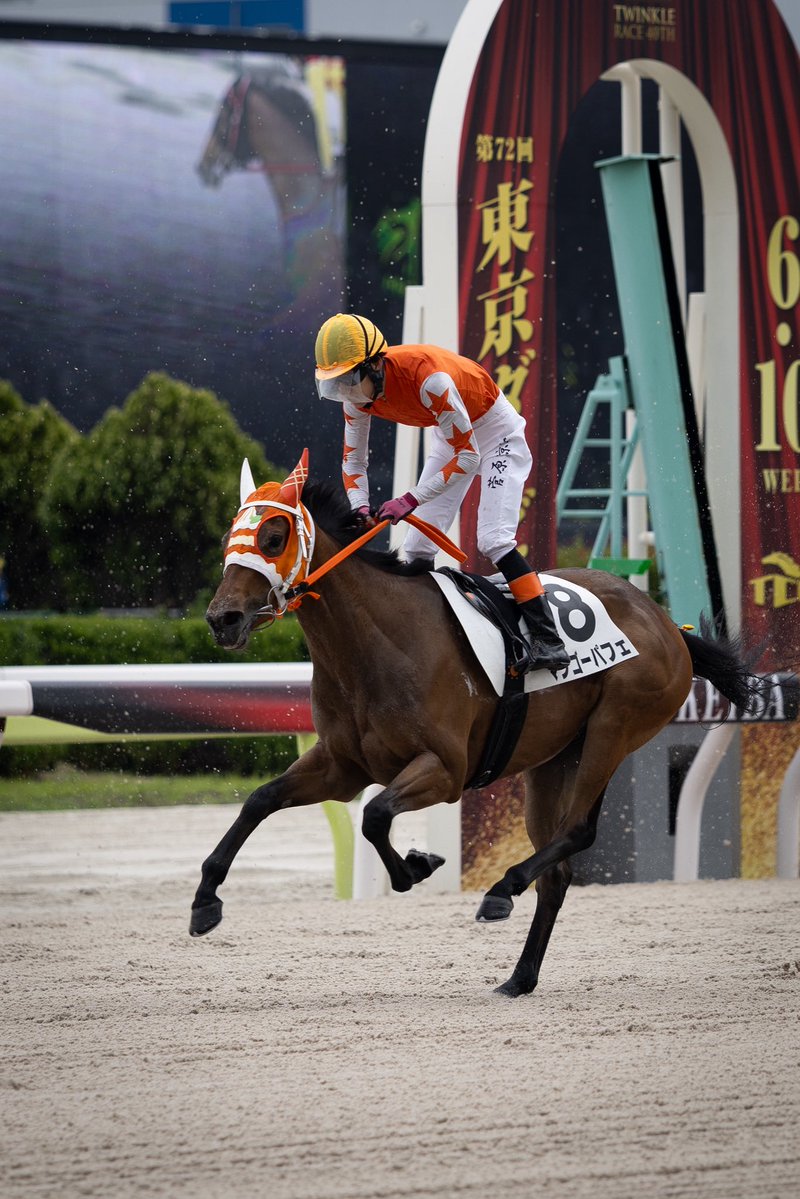 umatonekoship's tweet photo. 2026.6.8
大井競馬場 2R
マンゴーパフェ 
アスクピーターパン産駒
小野寺厩舎
菅原涼太騎手 https://t.co/FetvMqFYKm