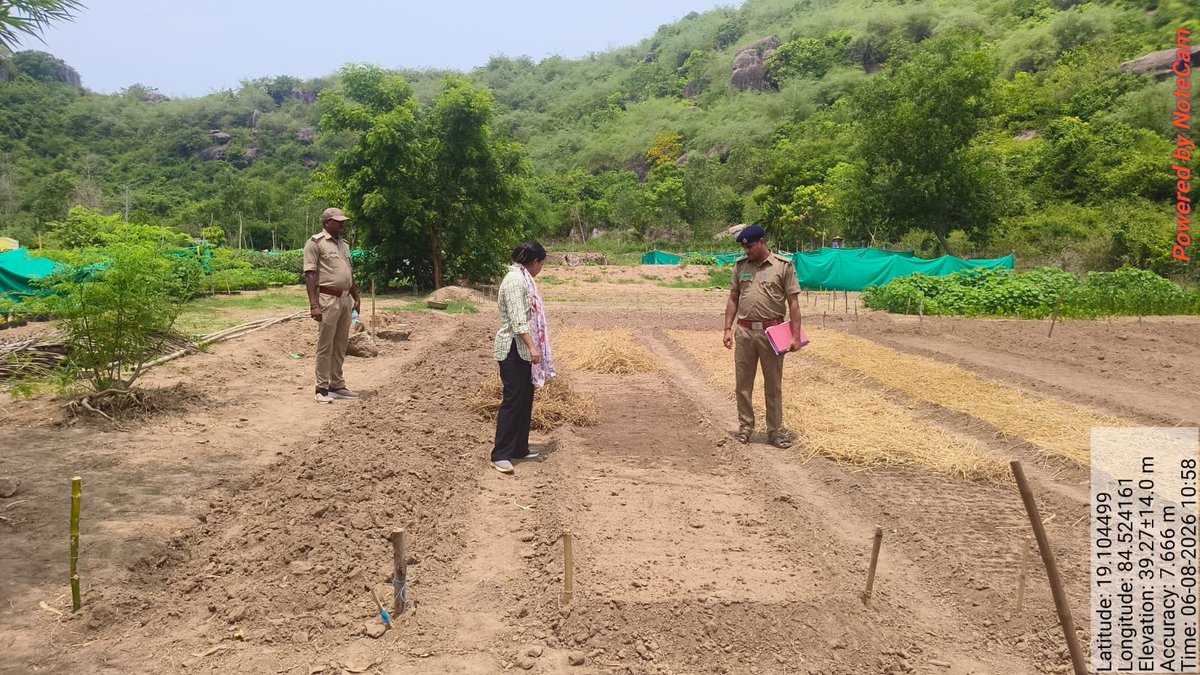 frospalli's tweet photo. ACF, Berhampur Division inspected the Burupada Permanent Nursery of Samantiapalli Range today. Reviewed primary mother bed preparations.On-site directives issued to field staff to maintain updated nursery journals &amp; ensure optimal germination. https://t.co/g3waxphOe1