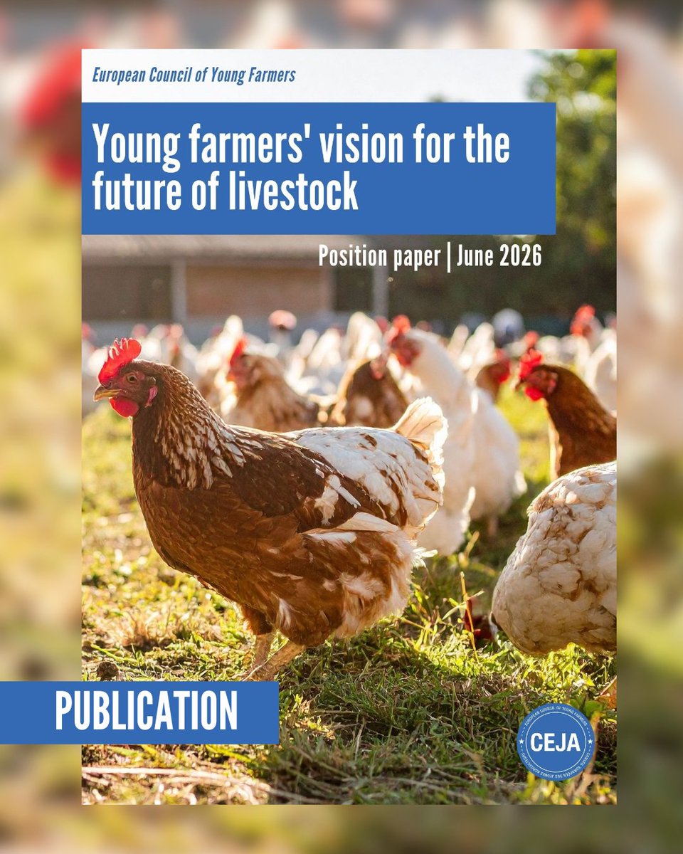 _CEJA_'s tweet photo. 📢 New publication | Young farmers' vision for the future of livestock

Ahead of the EU Livestock Strategy, CEJA sets out the priorities of the next generation.

📄 Position paper: https://t.co/NAuodZTaYt
🗞️ Press release: https://t.co/YPlHaS7gGj https://t.co/UtDzUgZbvn